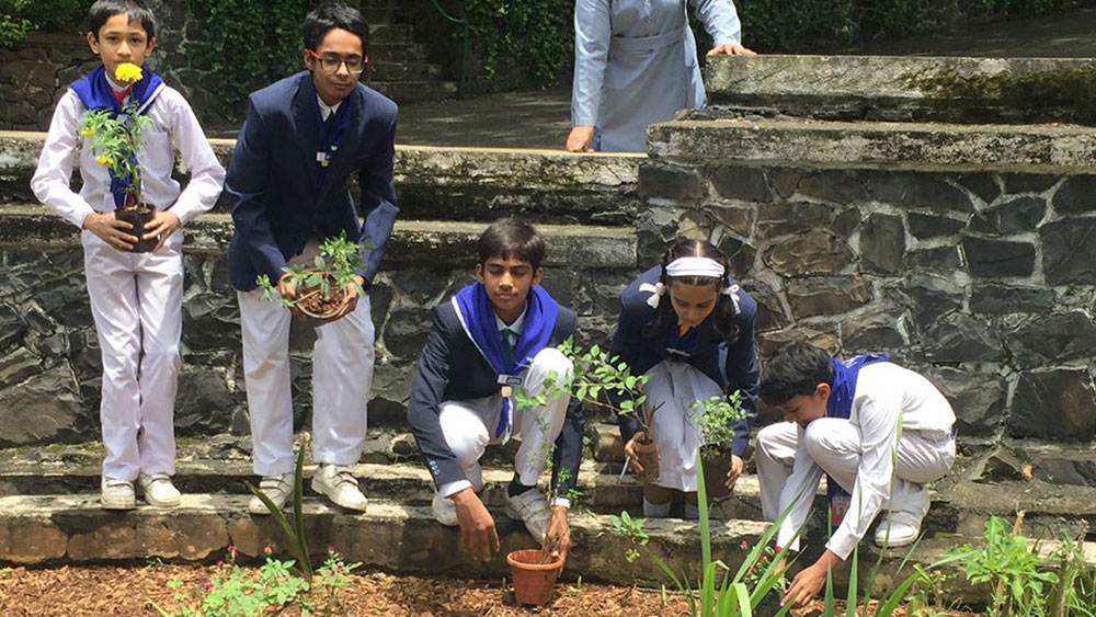 Tree Plantation Drive - Ryan International School, Goregaon East