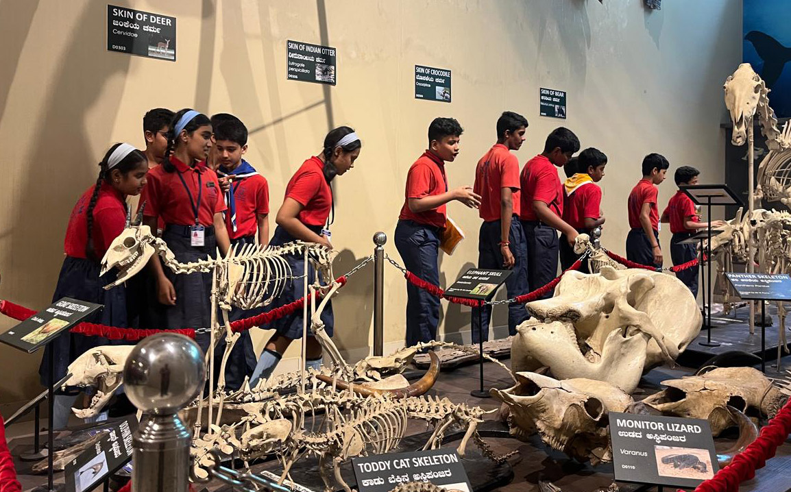Educational Field Trip to the St Aloysius Museum