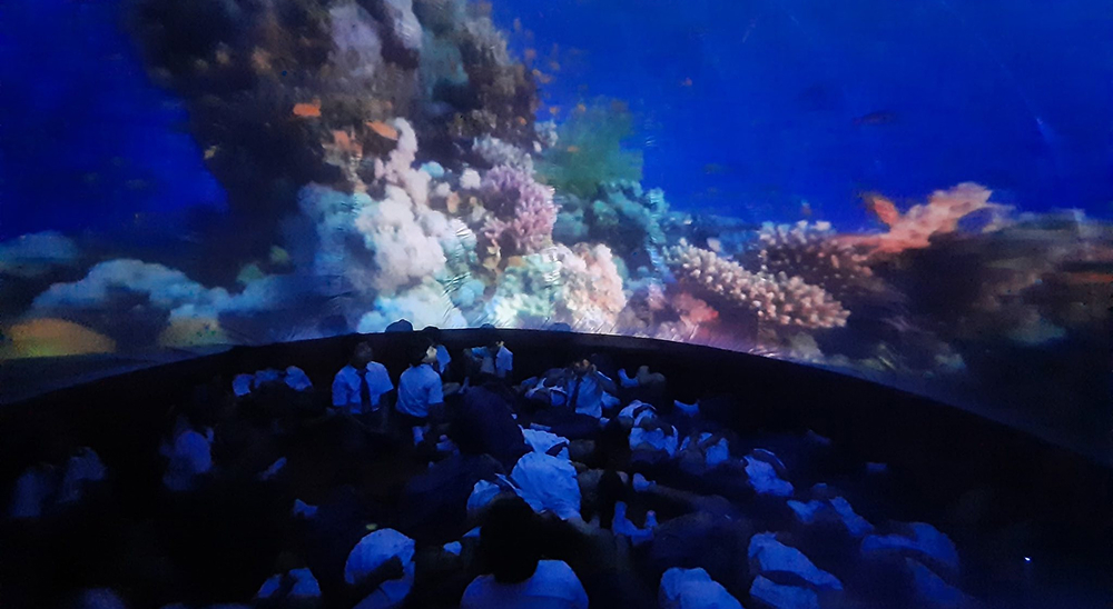 Mystery Dome And VR Show