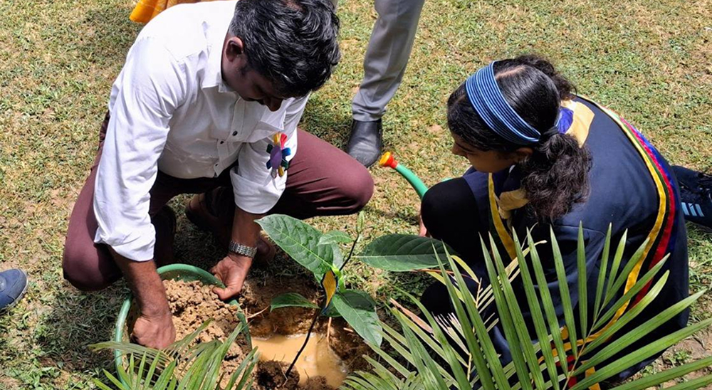 Plantation Drive With Rotary Club