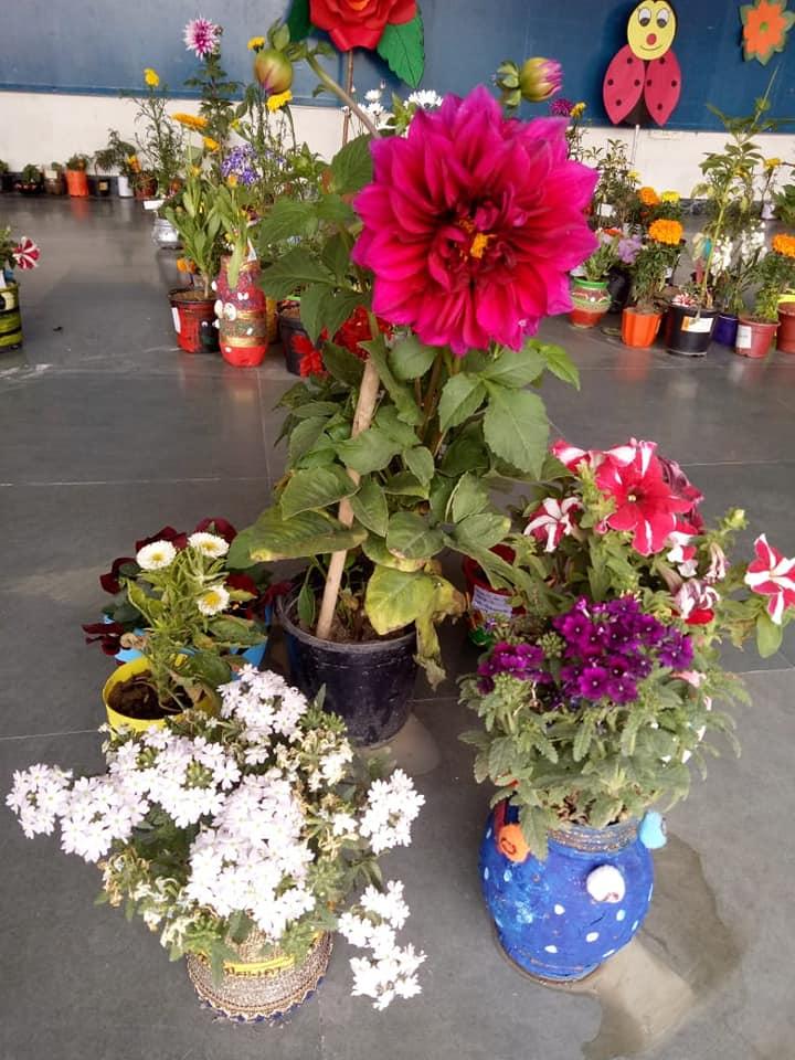 FLOWER SHOW - Ryan International School, Noida Extention