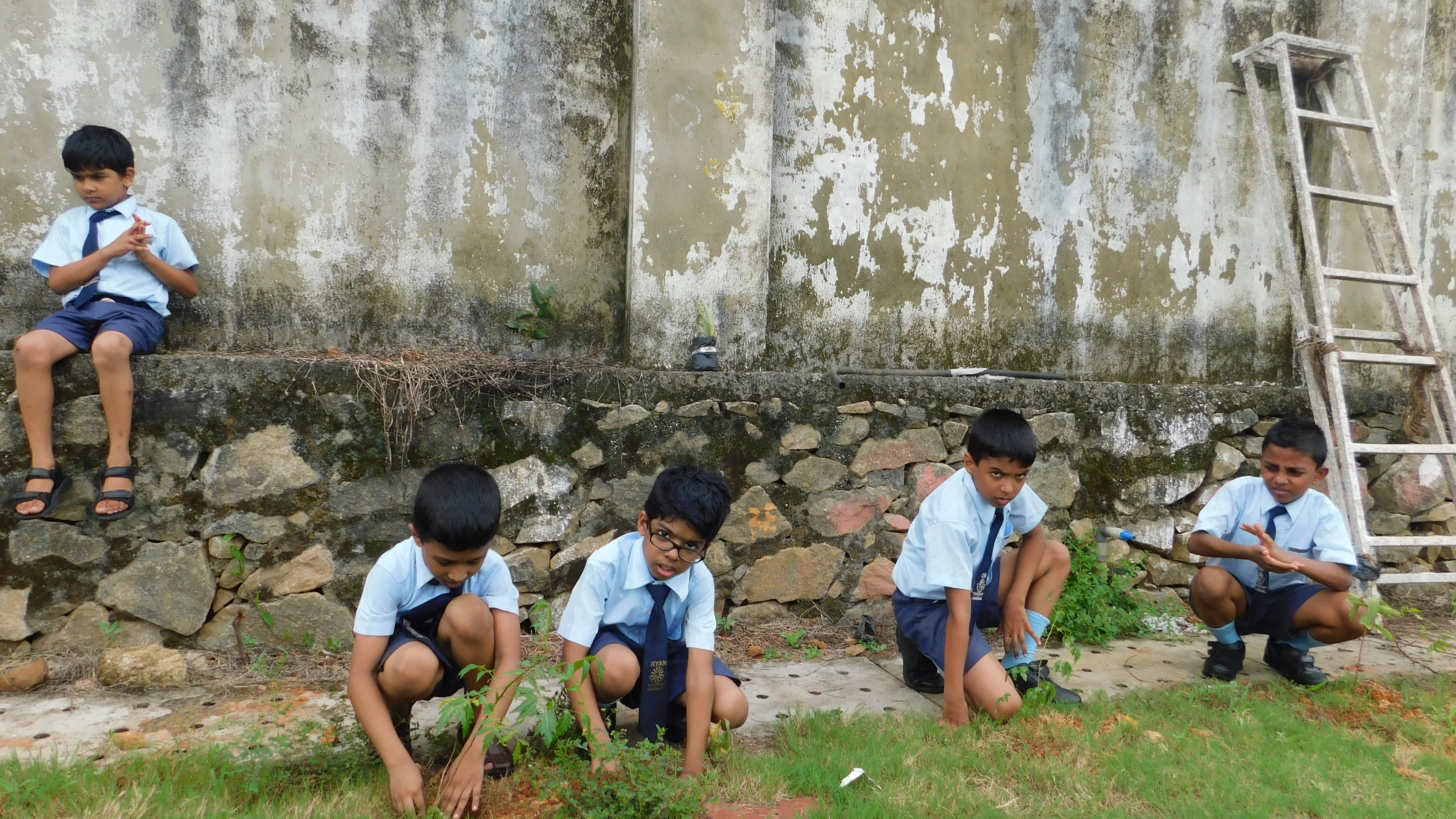 Tree Plantation - Ryan Interntional Kunnukara