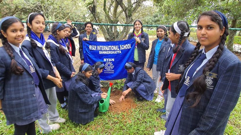 Plantation Drive